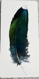 Divine Feather Messenger